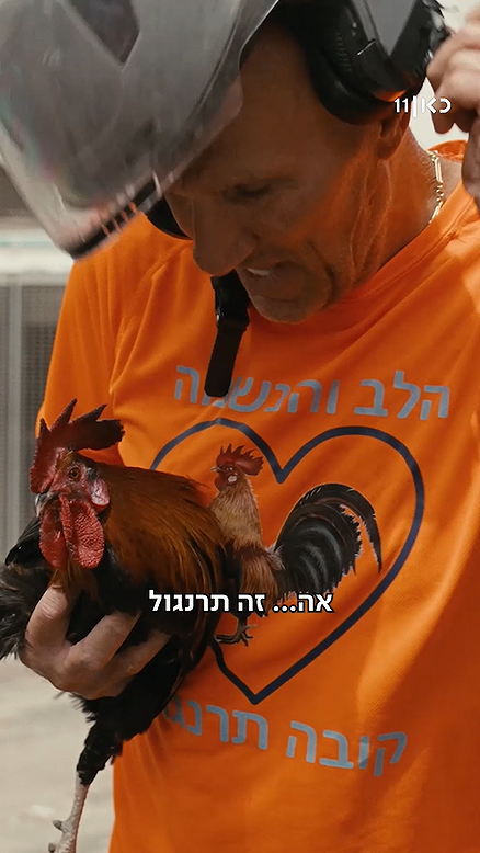 מלכת השכונה.כאן11