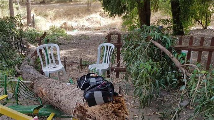 עף עץ שקרס על ילד וגרם למותו בפארק לכיש, יולי 2019